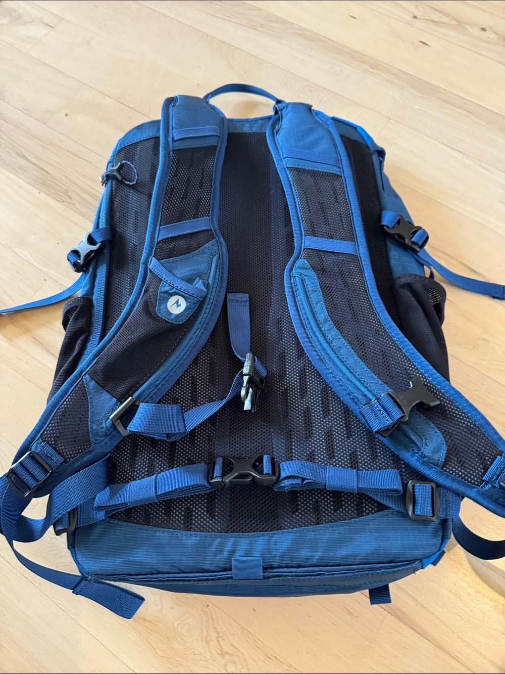 Marmot question lmk